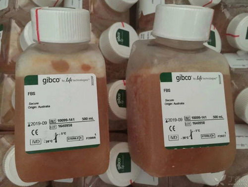 Gibco澳洲胎牛血清10099141