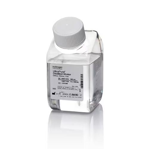 Thermo賽默飛UltraPure 10977023無DNase/RNase蒸餾水10977015