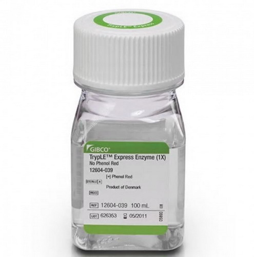 Gibco TrypLE Express穩定胰酶替代酶(1X),無酚紅12604039