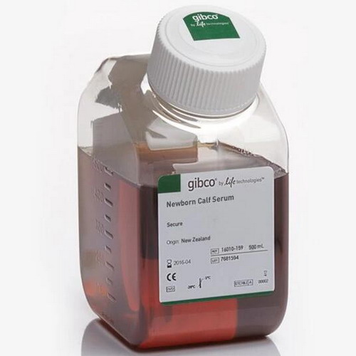 Gibco新生牛血清，新西蘭來源16010142、16010159