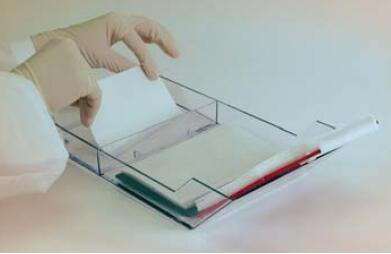 Mini Trans-Blot美國伯樂小型轉印槽1703930