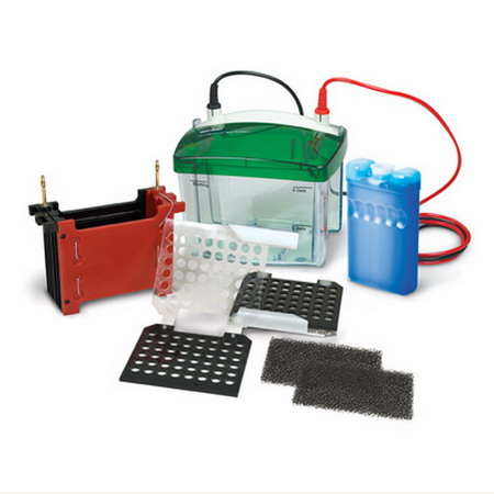 美國BIO-RAD伯樂Mini Trans-Blot小型轉印槽,迷你濕轉印槽1703930