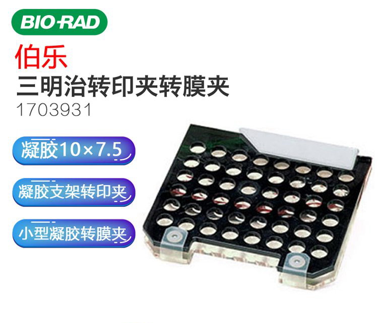 Bio-Rad伯樂轉印凝膠支架 轉印夾 科研三明治電轉移夾轉膜1703931