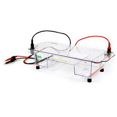 Bio-rad美國(guó)伯樂中型水平電泳槽Sub-Cell®GT Cell1704484