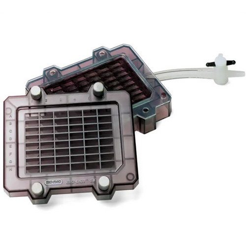 伯樂Bio-rad Bio-Dot Apparatus 1703938微孔過濾儀1706546