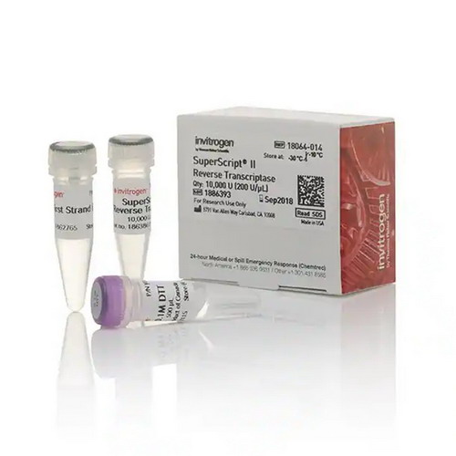 Invitrogen SuperScript II 逆轉(zhuǎn)錄酶18064014，18064022，18064071