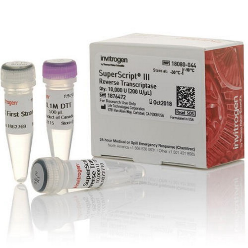 Thermo賽默飛SuperScript III 反轉錄酶18080044 18080093 18080085