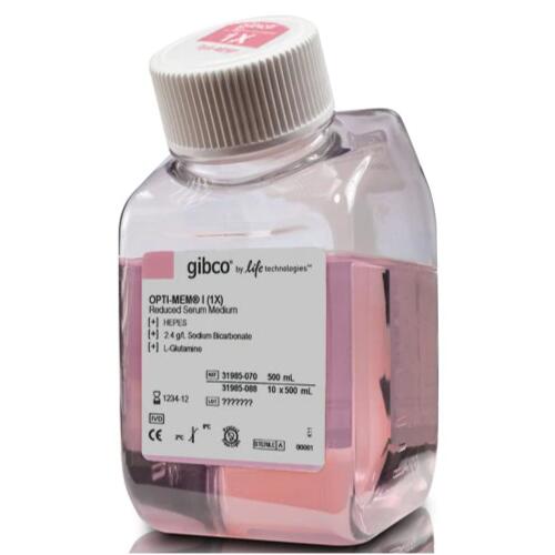 Gibco Opti-MEM  I 減血清培養基31985070