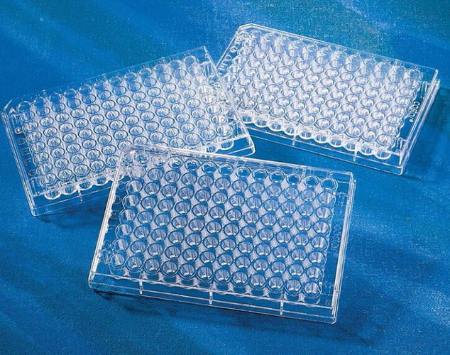 Corning康寧96孔細胞培養板 透明U底 超低吸附表面 獨立包裝 無菌7007