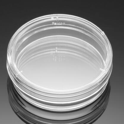 BD Falcon 35mm易握型細胞培養(yǎng)皿353001