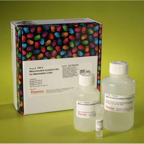 Thermo賽默飛 培養細胞線粒體分離試劑盒89874