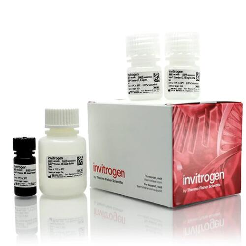 美國Invitrogen Qubit蛋白質和蛋白質BR檢測試劑盒