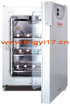 美國(guó)熱電Thermo BB15 CO2細(xì)胞培養(yǎng)箱