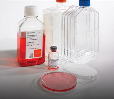 BD BioCoat包被細胞培養容器