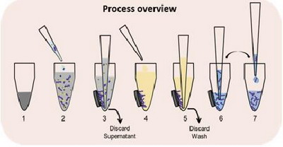 Axygen愛思進(jìn)磁力架IMAG-96-P-G