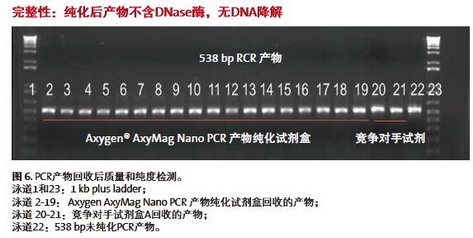 進(jìn)口愛思進(jìn)磁力架IMAG-96-P-G，AxyMag Nano PCR產(chǎn)物純化試劑盒