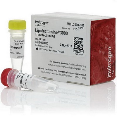 Thermo Life Lipofectamine® 3000轉染試劑L3000001