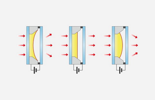 進(jìn)口Logos LUNA-II全自動細(xì)胞計(jì)數(shù)儀