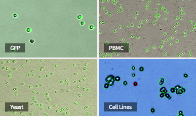Logos LUNA-II全自動進(jìn)口細(xì)胞計(jì)數(shù)儀