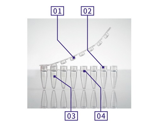 艾本德Lavibe PCR 224402000八連管8聯管2244020007