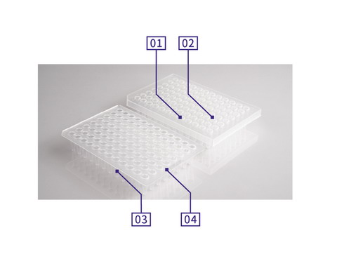 艾本德Lavibe進(jìn)口PCR 96孔板0.2ml半裙邊2244030002，無(wú)裙邊2244030001