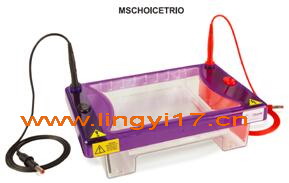英國Cleaver MSCHOICETRIO中型水平電泳槽