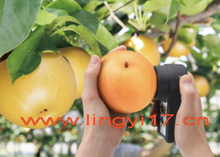 ATAGO愛拓PAL-HIKARi 12(梨子)無損糖度計