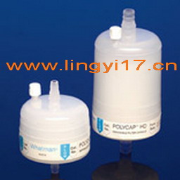 英國Whatman沃特曼Polycap SPF過濾器