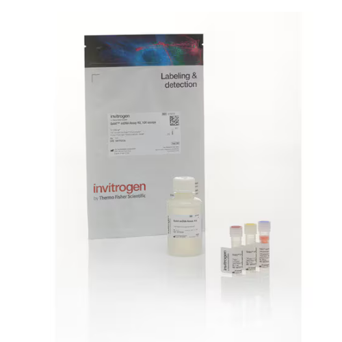 Thermo賽默飛Invitrogen Qubit ssDNA 檢測試劑盒Q10212