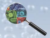 細菌濁度計SGZ-2AXJ