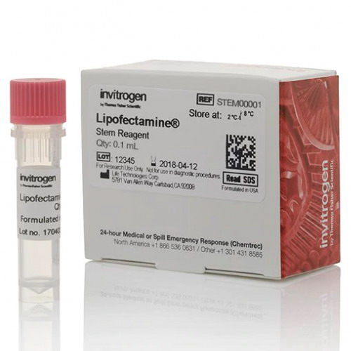美國Thermo Invitrogen Lipofectamine干細胞轉染試劑STEM00001
