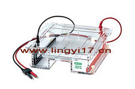 美國(guó)Bio-rad伯樂(lè)Sub-Cell Model 96水平型電泳槽1704502