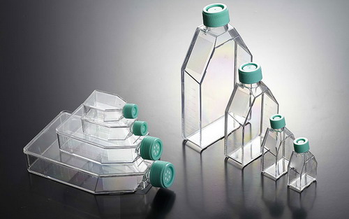 細胞培養瓶TCF001025，TCF001050，TCF001250