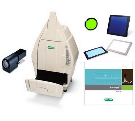 美國進口BIO-RAD伯樂Gel Doc XR+凝膠成像系統