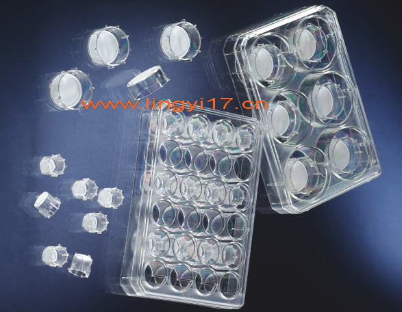 Nunc插入式細胞培養器Nunc插入式細胞培養皿