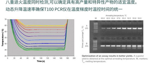 美國Bio-rad伯樂T100 PCR儀,進口梯度pcr